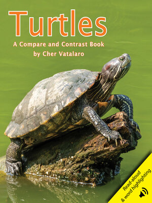 cover image of Turtles